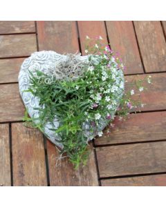 Gedenkherz mit Rosen, zum Bepflanzen, Zementguss